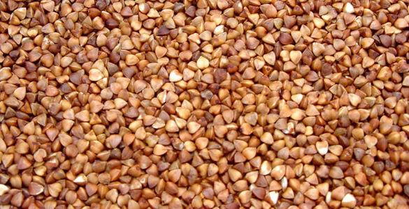 Buckwheat